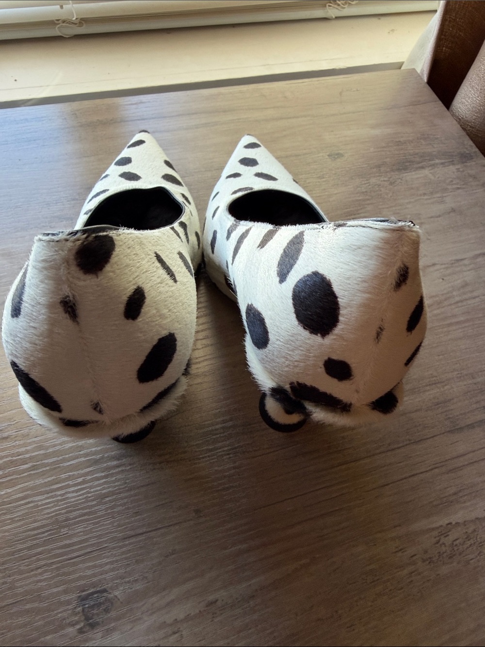 NWT Burberry Ava Cream & Black Dalmatian-Spot Pointed-Toe Pumps - Picture 4 of 12